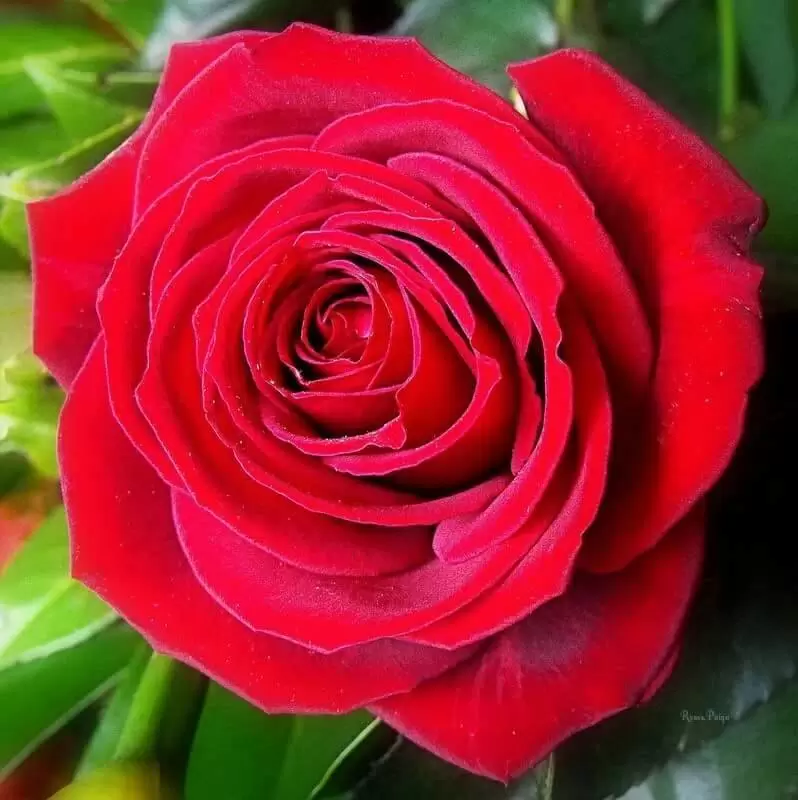 NGỦ ĐI NÀO NGƯỜI CON GÁI ANH THƯƠNG