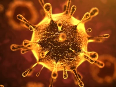 VIRUTS CORONA LÀ GÌ?