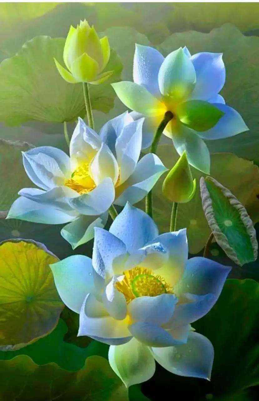 KHÔNG TRÒN KHÔNG KHUYẾT MỘT VẦNG TRĂNG