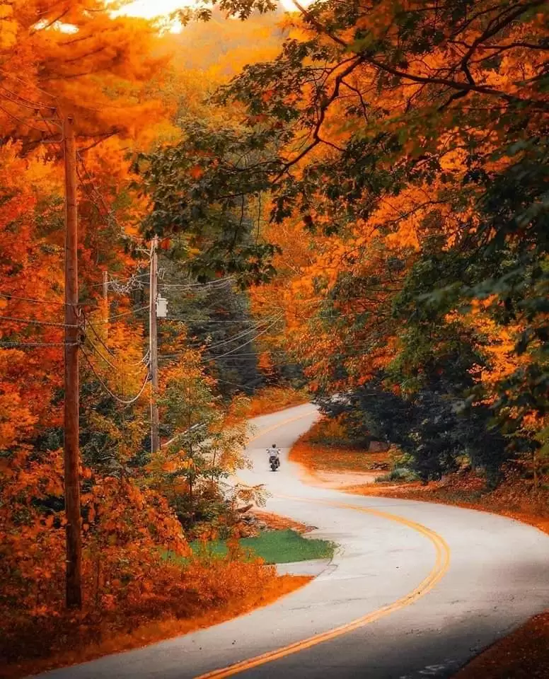 NHỚ MÃI MỘT MÙA THU