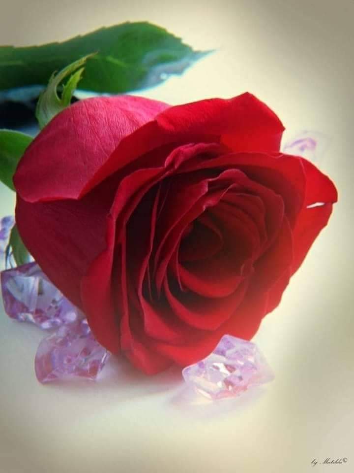 GỬI ĐẾN NGƯỜI TÌNH XA