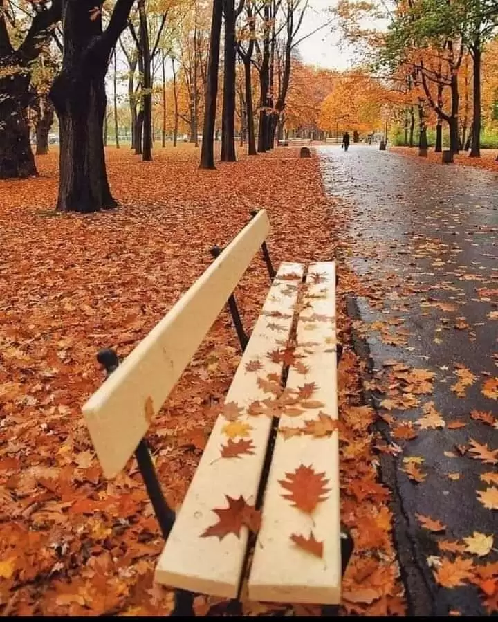 SAO NGƯỜI TRỞ VỀ…