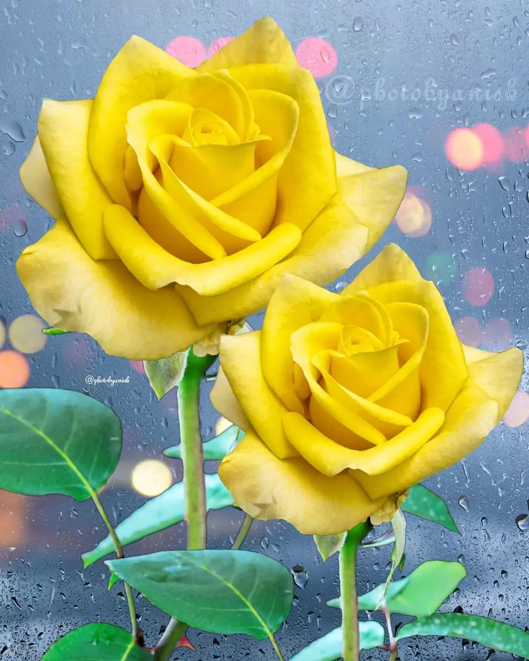 NĂM THÁNG SAU NÀY…