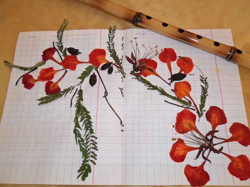 CÓ MỘT ĐIỀU CHẮC CHỊ KHÔNG BIẾT ĐÂU…