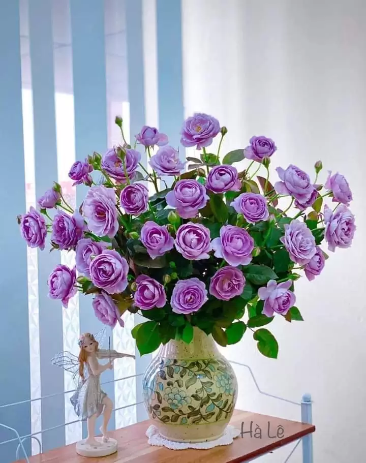 THÔI ĐỪNG GẶP NỮA