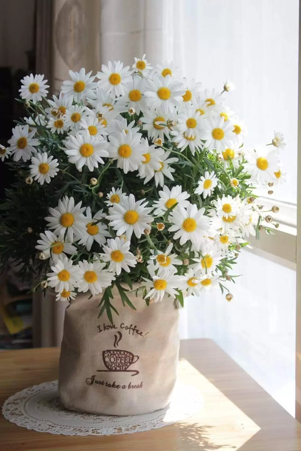 KHÚC HÁT MÙA XƯA