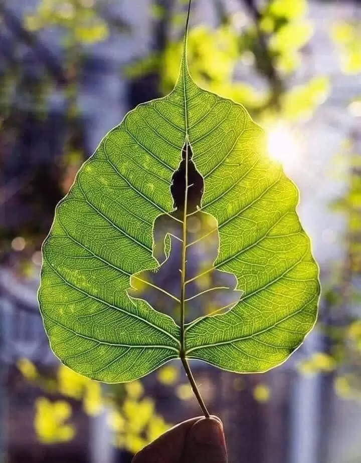 LẠC CÕI DƯƠNG GIAN