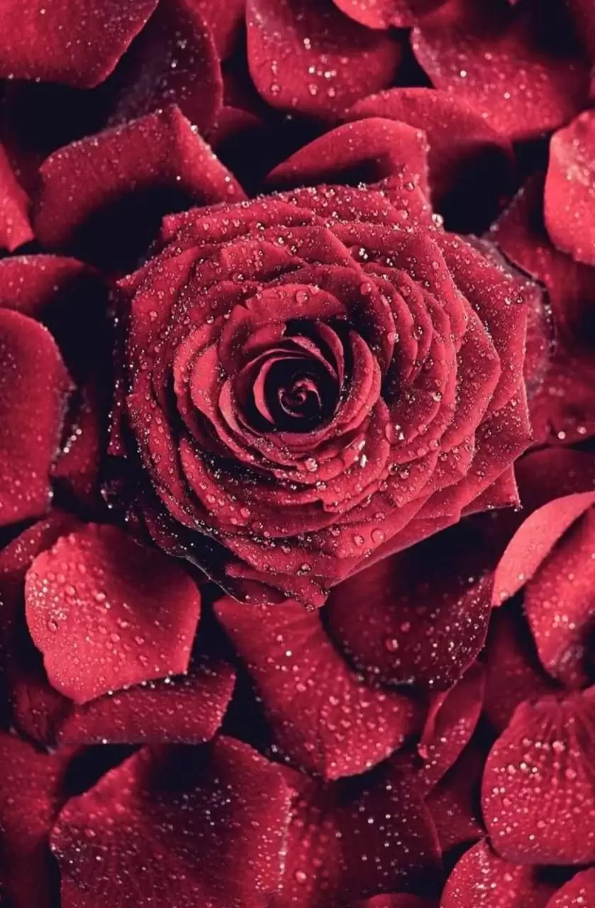 VALENTINE BUỒN, EM NHỚ ANH…!