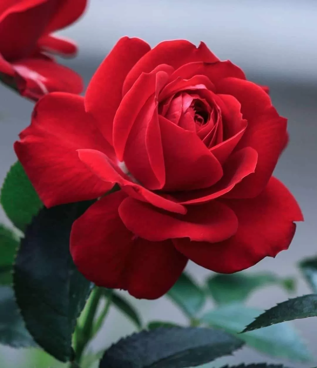 EM CÒN LẠI GÌ…