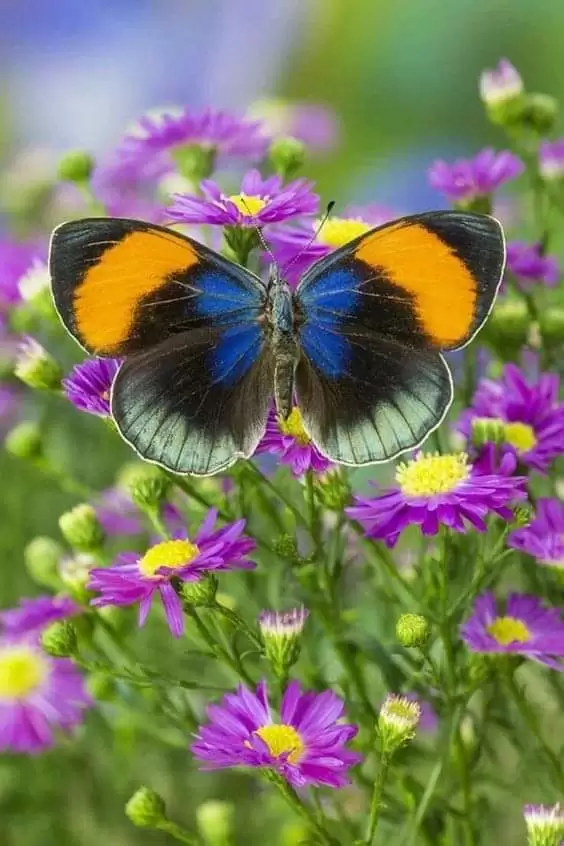 CÒN GÌ SAU CHIA TAY