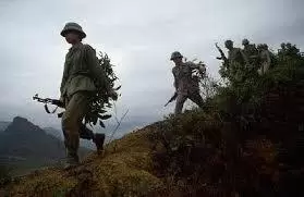 Giấc mơ mang màu lá