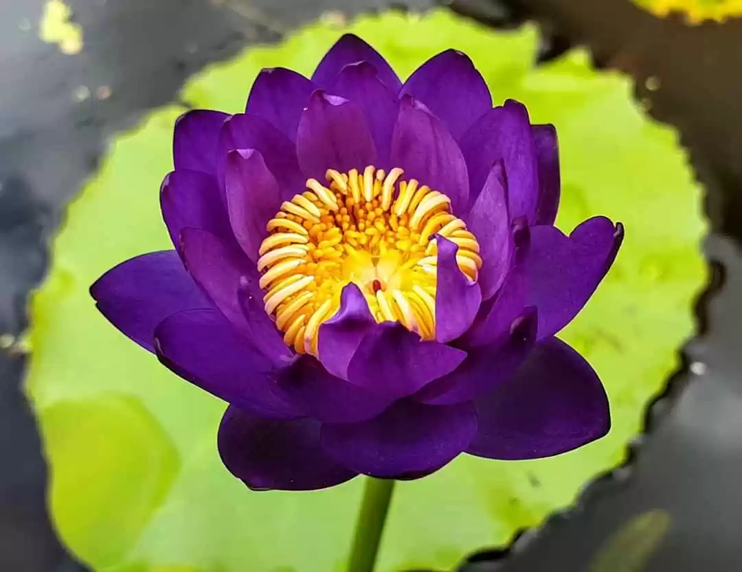 RIÊNG LÚC NÀY, TA BIẾT TA ĐƠN CÔI