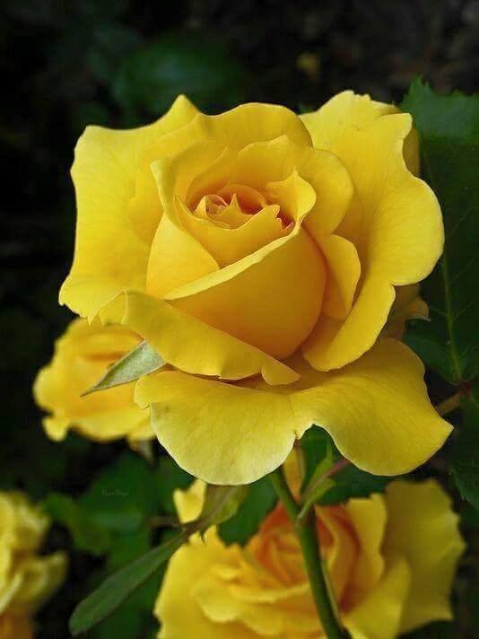 Ở HAI ĐẦU NỖI NHỚ