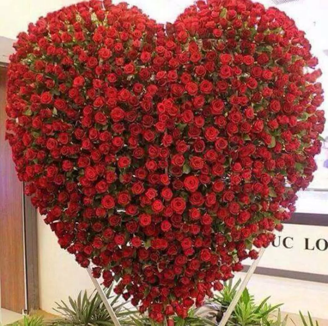 EM NỠ LÒNG NÀO TRÁCH HỜN ANH