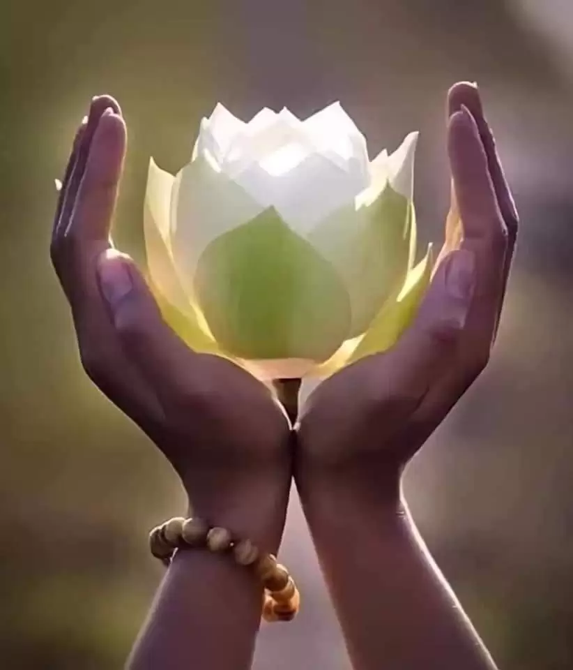 ĐỪNG BUÔNG LỜI CAY ĐẮNG