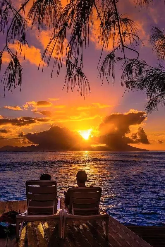 ĐÃ BUÔNG TAY NHƯNG  CHƯA THỂ  BUÔNG LÒNG