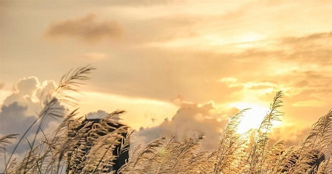 Thái Hoà yêu thương