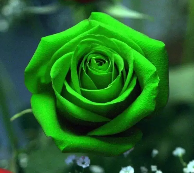 MẤT NHAU RỒI MÌNH CÓ HỐI TIẾC KHÔNG