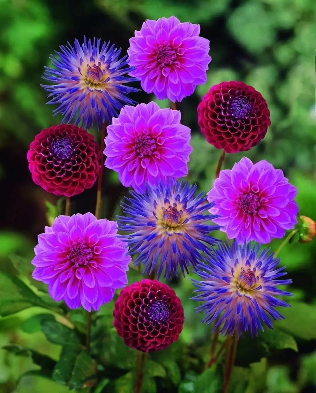 TRĂM LỜI ƯỚC HẸN TRẢ AI ĐÂY?