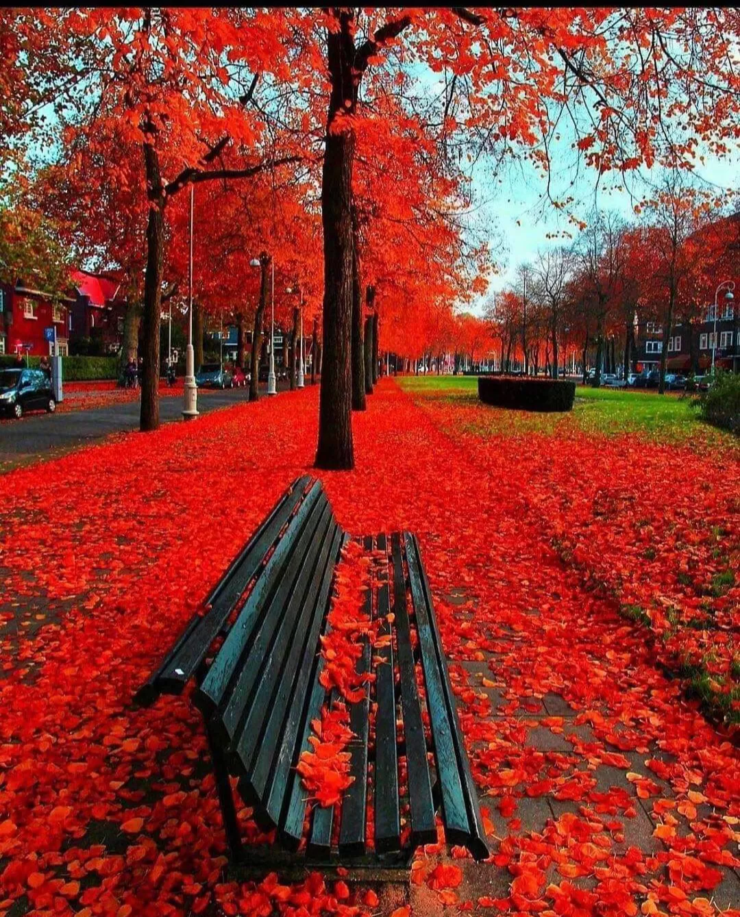 TA MỆT RỒI ĐÀNH BUÔNG