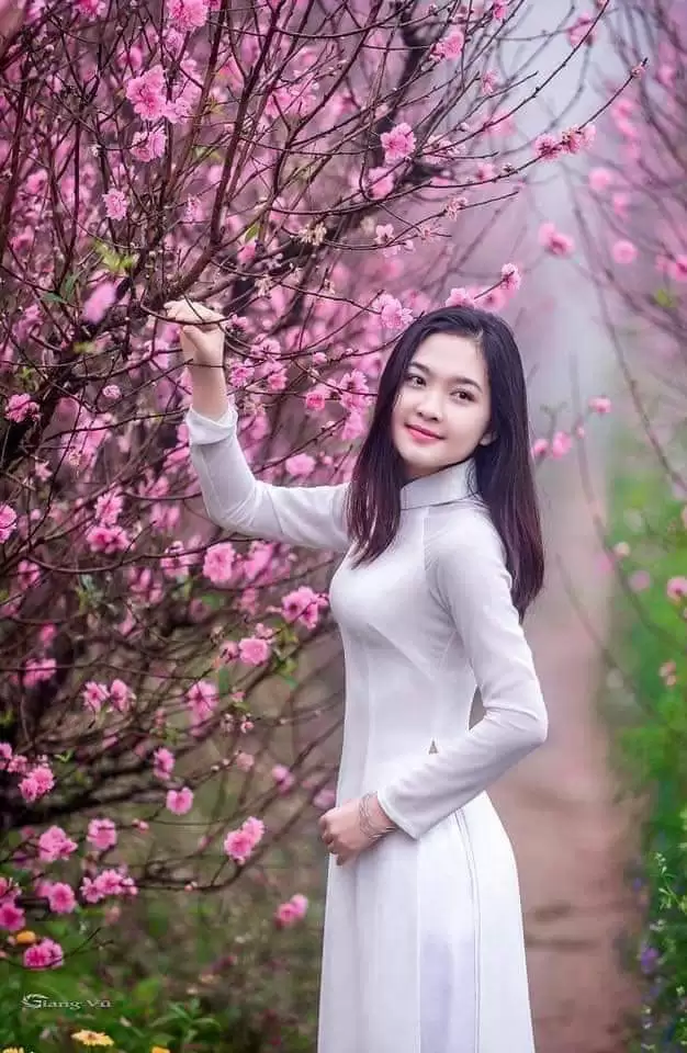 CHÚC MỪNG NĂM MỚI