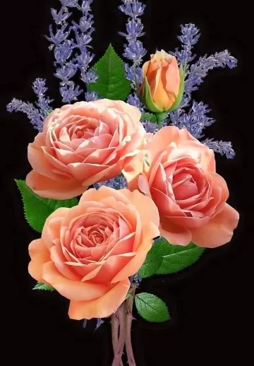 TÔI ĐÂU CÓ TRÁCH AI