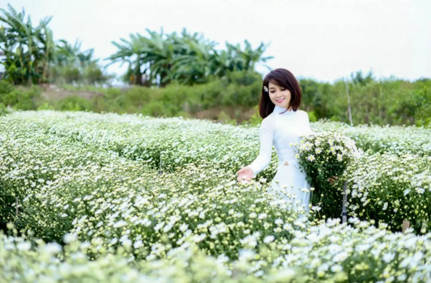 ANH CÓ VỀ HÀ NỘI MỘT NGÀY ĐÔNG