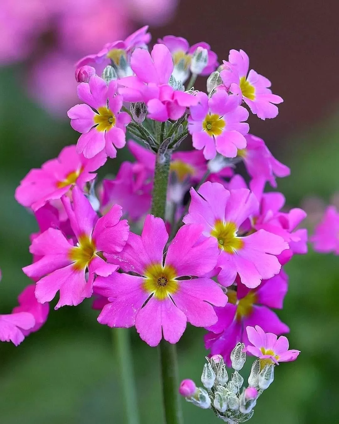 CÓ NHỮNG CUỘC RA ĐI