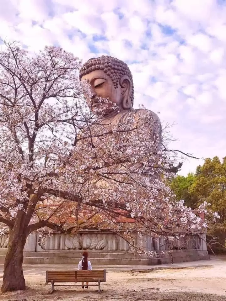 HỌC CÁCH IM LẶNG