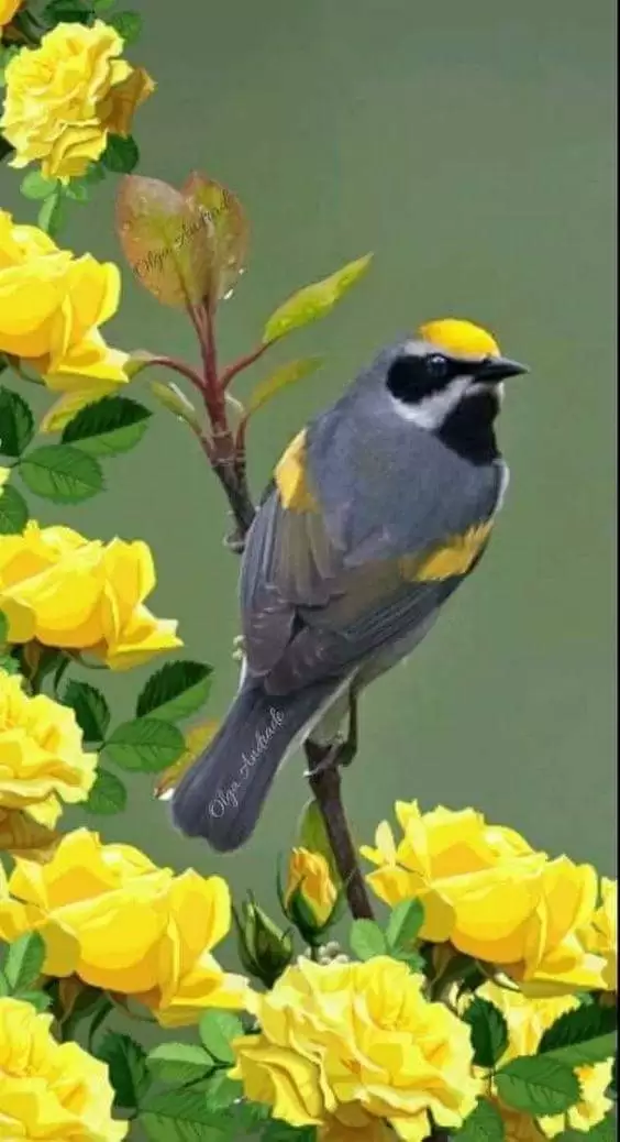 TÔI VỀ RU NỖI ĐAU TÔI