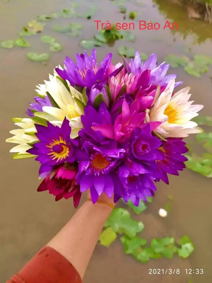 NGƯỜI ĐÀN BÀ ƯƠNG BƯỚNG