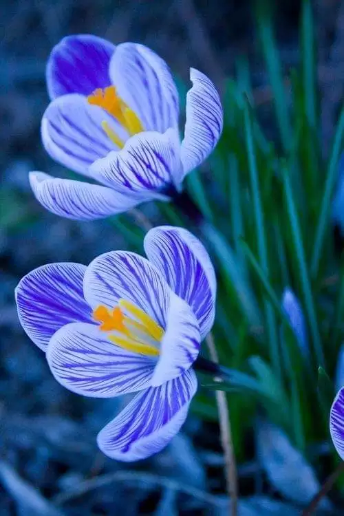 KHÔNG THỂ BƯỚC CÙNG NHAU