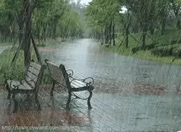 Khúc hát chiều mưa