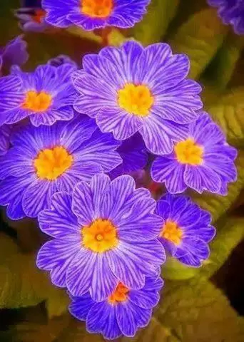 DUYÊN PHẬN MÌNH, DỪNG LẠI Ở ĐÂY THÔI