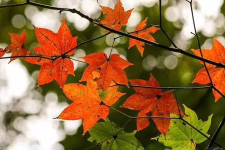 Ngủ ngon thôi nhé…xốn xang