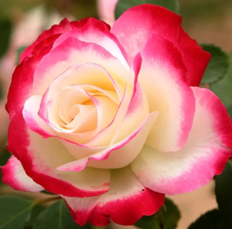 SAU GIẬN HỜN MÌNH CÀNG HIỂU NHAU HƠN