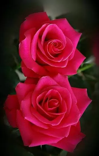 CHIỀU TRÊN BẾN CŨ