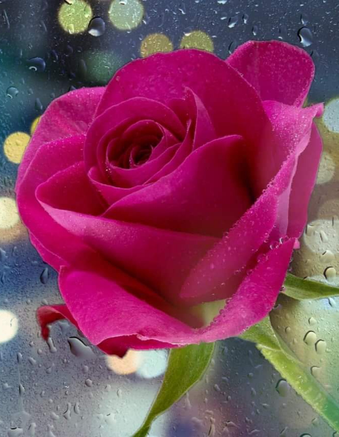 SAO ANH KHÔNG ĐẾN ?