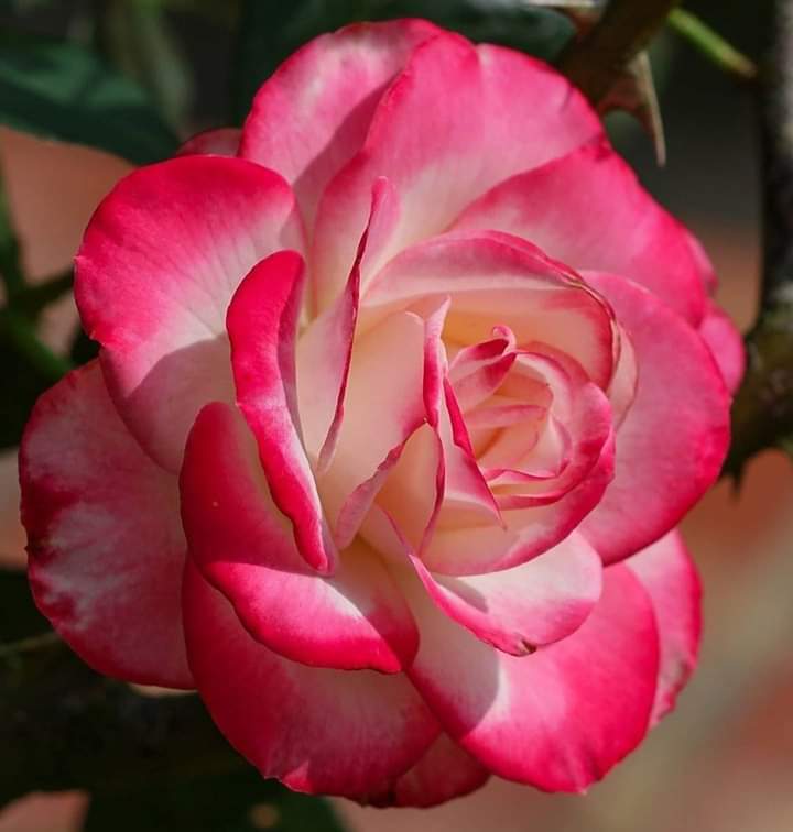 KHI NGƯỜI YÊU TA