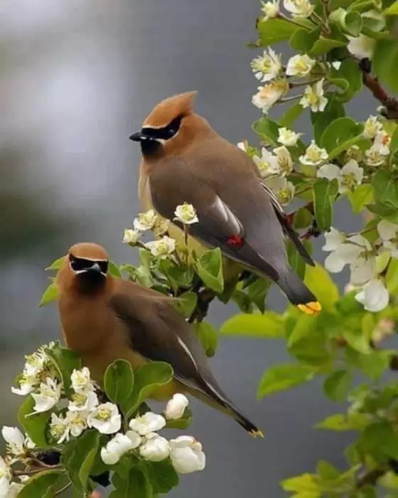 LỠ MỘT ĐƯỜNG DUYÊN