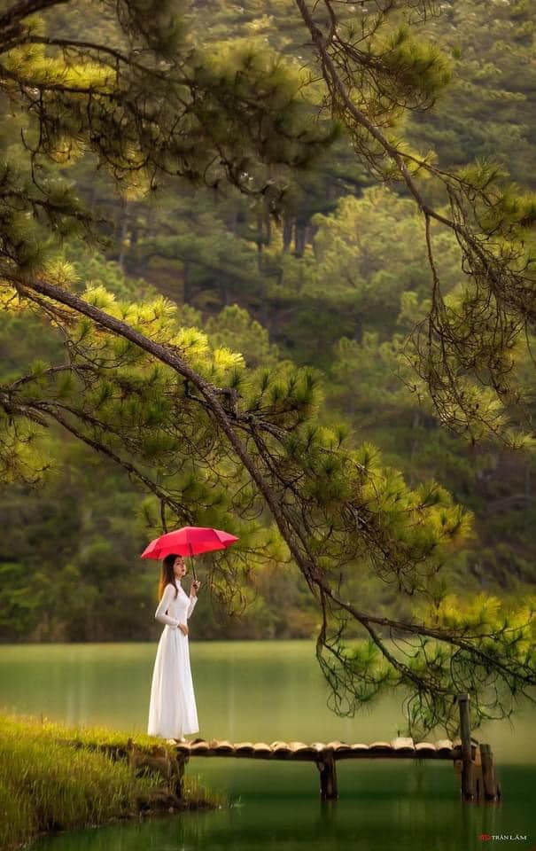 NỖI NHỚ MÙA ĐÔNG