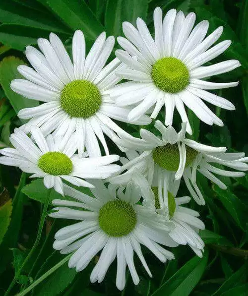 ĐIỀU EM TIẾC NHẤT