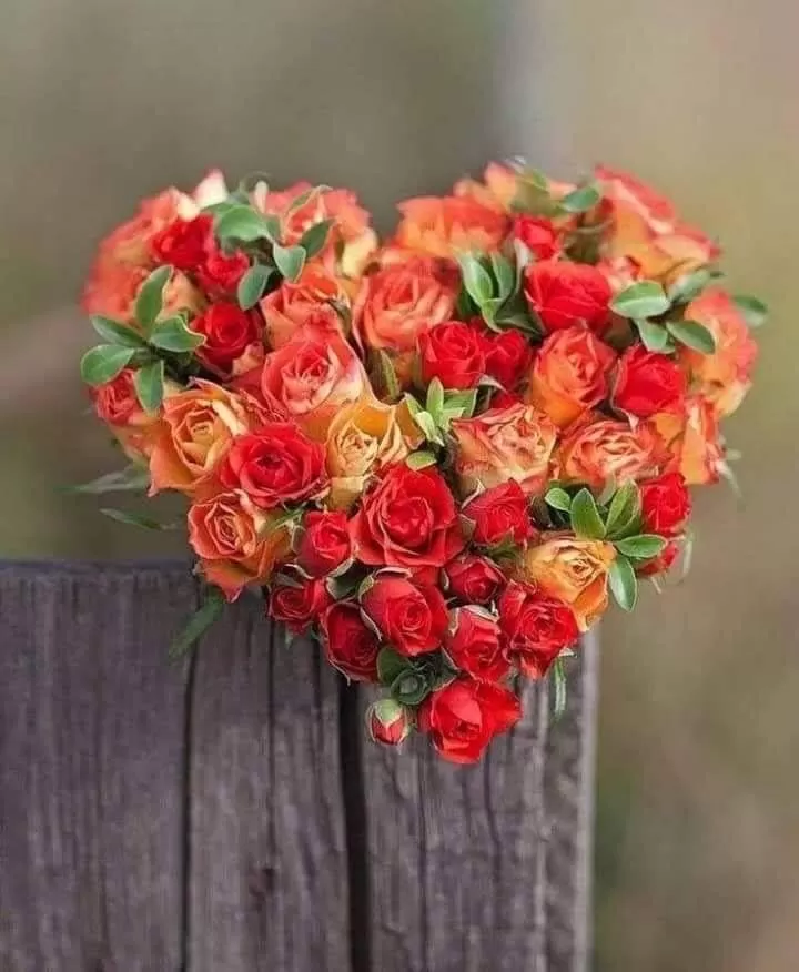 HẠNH PHÚC THẬT NHIỀU NHÉ NGƯỜI EM THƯƠNG