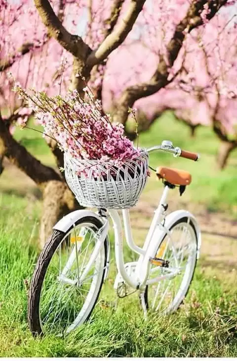 CÓ MỘT CON ĐƯỜNG