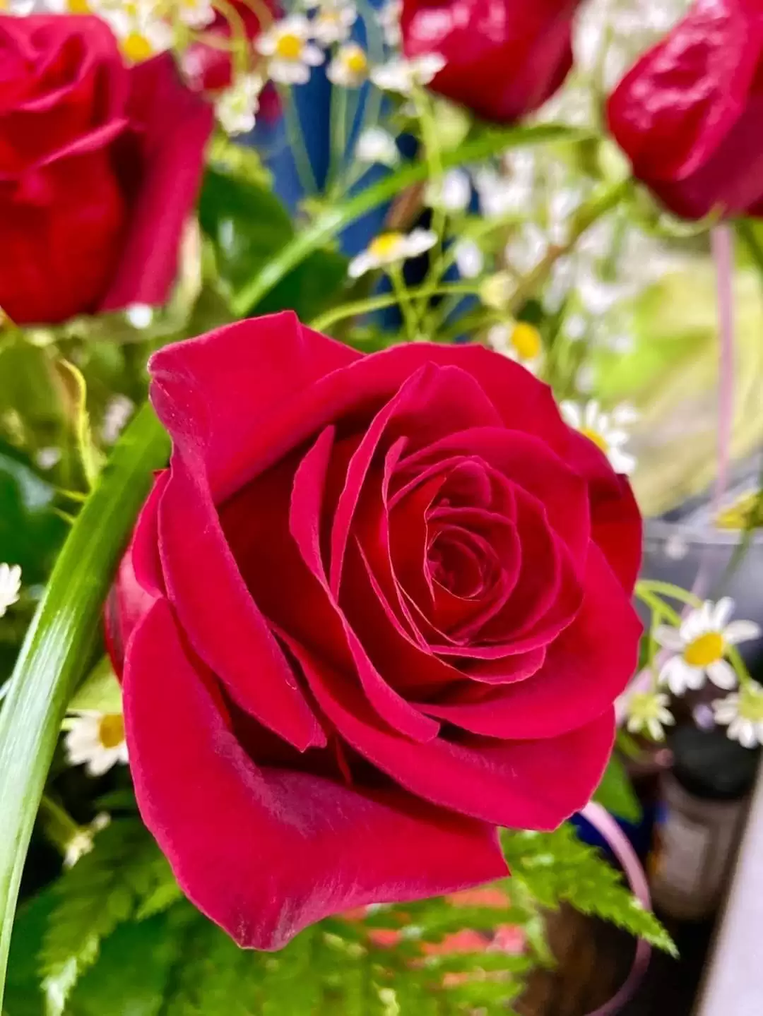 ĐỪNG LÀ KẺ CÔ ĐƠN