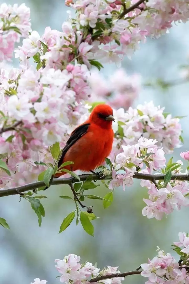 ANH LỖI HẸN … EM MÃI ĐỢI