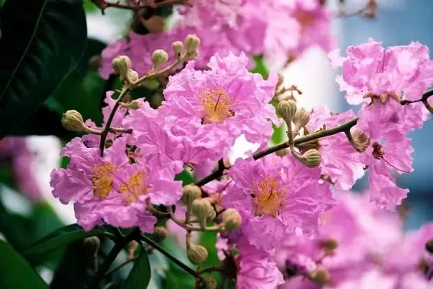 Nỗi niềm tháng 5